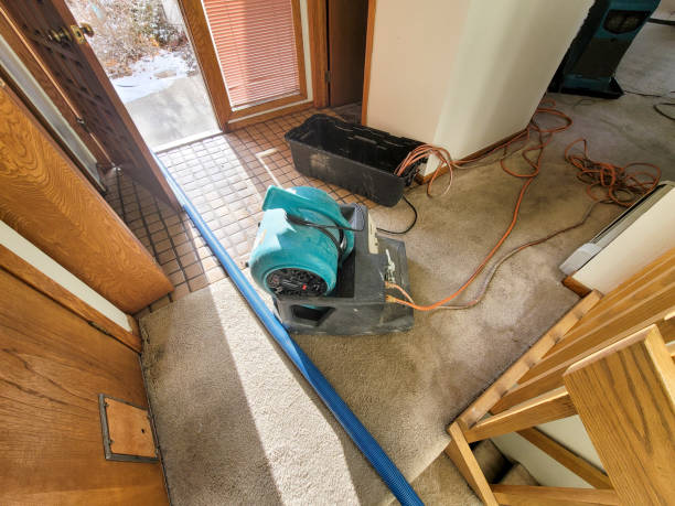 Best Residential water damage restoration  in Verona, VA