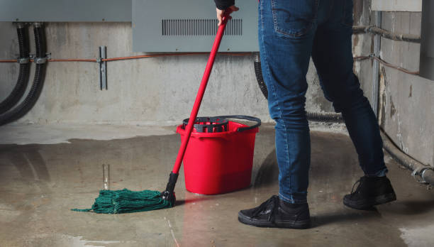 Trusted Verona, VA Water damage restoration Experts