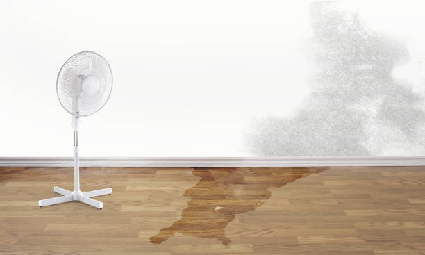 Best Water damage contractors near me  in Verona, VA