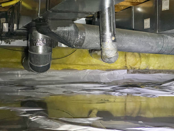 Best Water damage cleanup near me  in Verona, VA