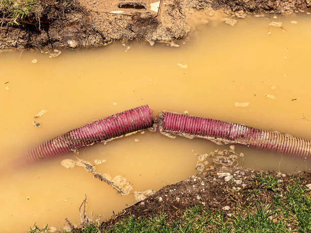 Best Professional water damage repair  in Verona, VA